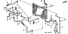 B-5-11 radiator hose /ﾘｻﾞｰﾌﾞﾀﾝｸ(2)