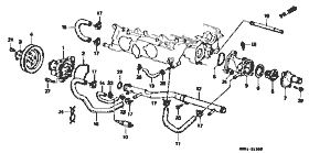 E-15 water pump / water hose (carburetor)